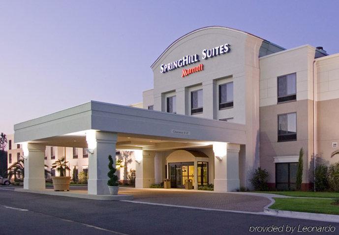 Springhill Suites By Marriott Voorhees Mt. Laurel/Cherry Hill מראה חיצוני תמונה
